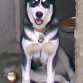 la princesa crecio.....
